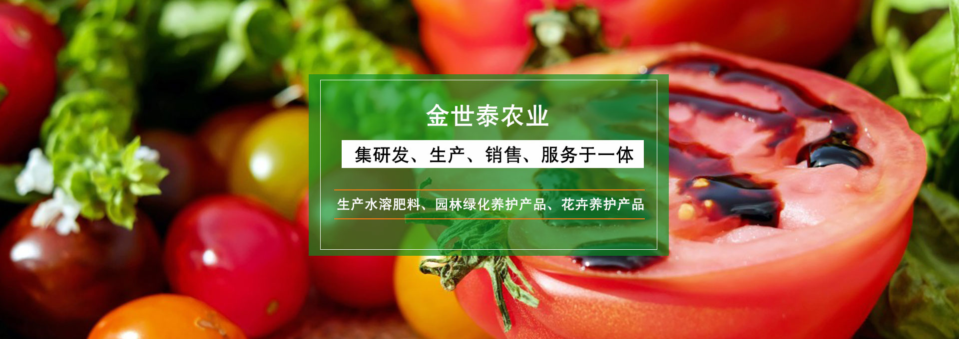 山东金世泰农业科技有限公司
